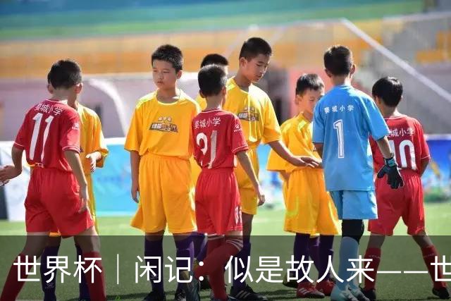 世界杯｜闲记：似是故人来——世界杯上的中超“老熟人”